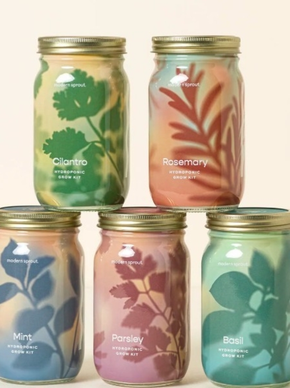 Mason Jar At Home Hydroponic Grow Kit Come With Jar, Seeds, Dirt & Instructions